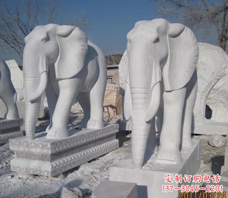 南通白色大象