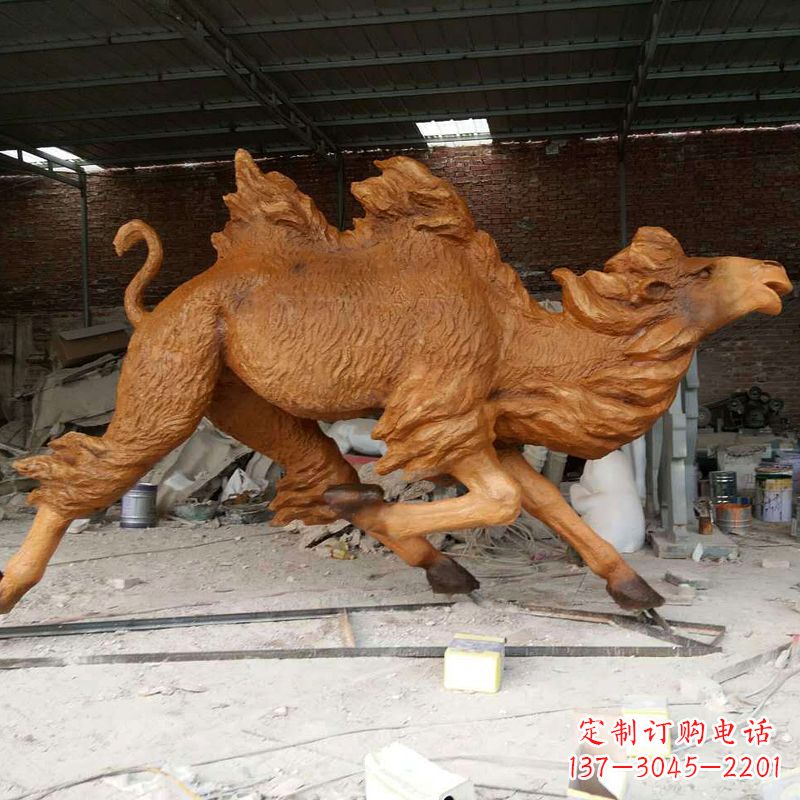 南通活力四射的骆驼