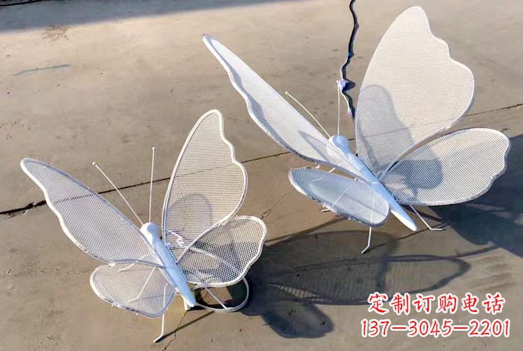南通不锈钢钢丝网格蝴蝶雕塑——灯光下的灵动之美