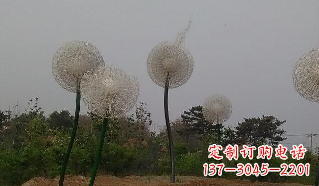南通蒲公英的绚丽多彩