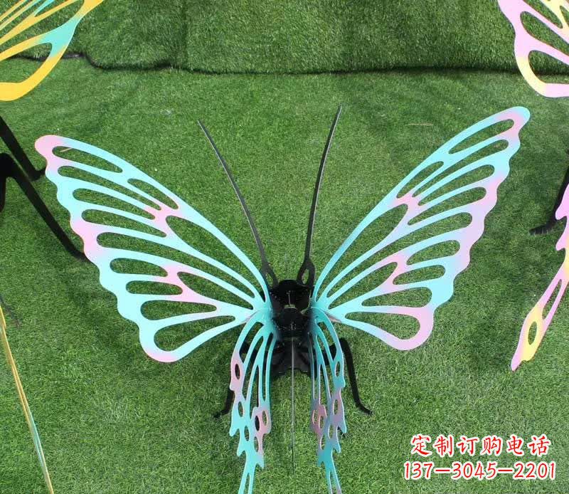 南通彩色不锈钢镂空蝴蝶雕塑精美又充满生机