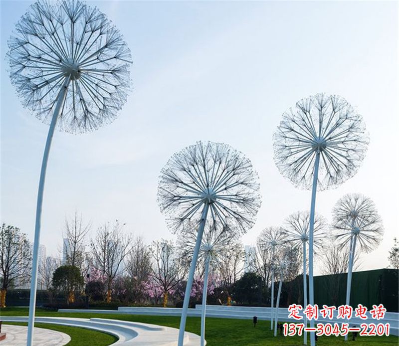南通不锈钢蒲公英美与力量的结合