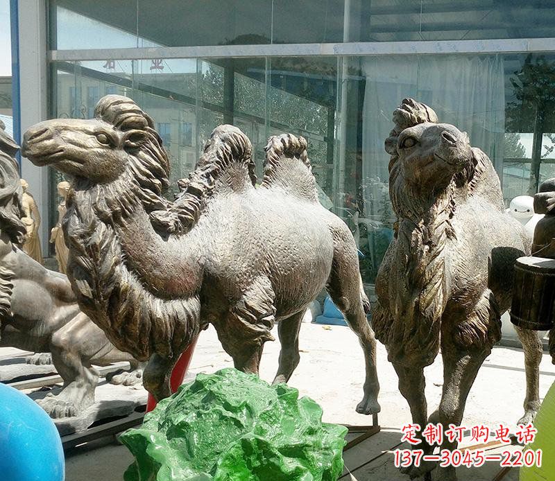 南通公园骆驼动物铜雕 (2)