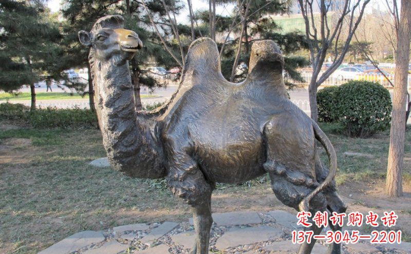 南通铜骆驼雕塑——浓缩自然美丽