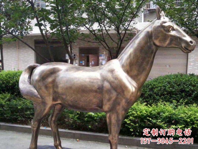南通公园马动物铜雕 (3)