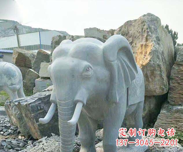 南通广场景观大理石大象石雕 (2)