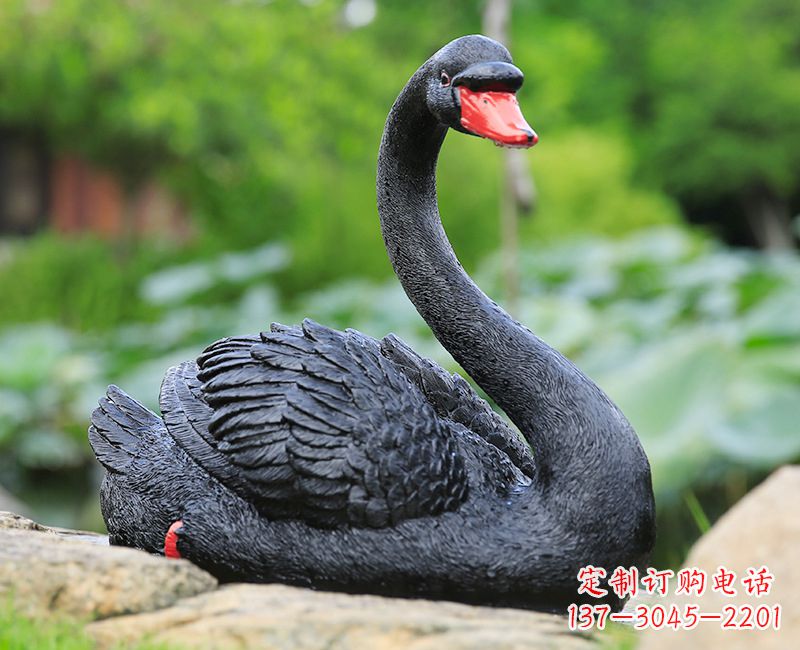 南通黑色天鹅卧姿雕塑-园林水景动物摆件