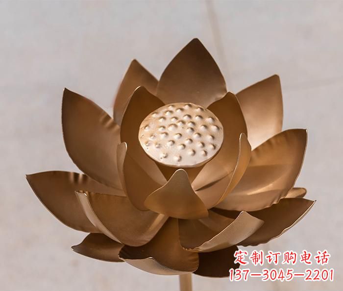 南通铜雕景观荷花