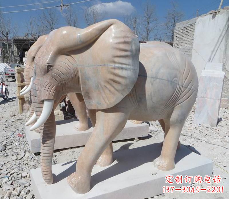 南通晚霞红卷鼻大象