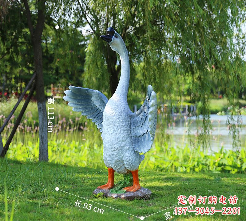 南通站立的灰色展翅天鹅